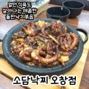 청원낙지 | 청주 오창 맛집 :: 없던 식욕도 생기는 매콤한 소담낙찌 오창점 돌판낙지볶음 후기