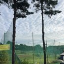 디엠힐스 이미지