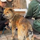 기다리다 이미지