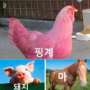 슨빈, 무엇을 하며 서식하는가
