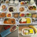 951 | 두바이 항공권 대한항공 KE951 좌석 특별기내식 해산물식 후기 + 두바이 공항 입국 절차