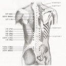 열린치유한의원 이미지
