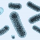 한사랑요양병원 이미지