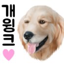 지니펫살롱 이미지