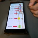 벙커 | 의정부 신곡동 헬스장 벙커짐 PT 후기 | 이린이 헬스를 하다