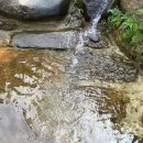 구름위의산책농원 네이버블로그