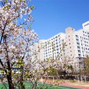 서농초등학교(병설) 이미지