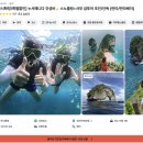 수정열대어 | 발리 누사페니다 투어 후기 내돈내산 추천함!