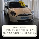 폴그린(fall green) | [미니쿠퍼]26년식 미니 3도어 전기차 폴 스미스 에디션 출고 후기｜한정판 지금이 가장 유리한 이유...