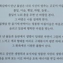 풀섶 티스토리