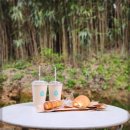 스테이비욘드 이미지