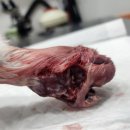 바우동물병원 이미지