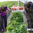 중앙얼음 - 창원시 마산합포구 허당로 24-1 | 중앙얼음