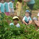 샘터어린이집 이미지