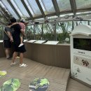 봄내놀이터(Ⅰ)_자연동화&놀이 | 아이랑 주말 가볼만한곳, 충남 서천 국립생태원