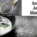 제네시스 유한회사 이미지