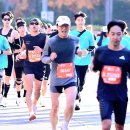 2025 MBN 서울 마라톤(2025.11.16 광화문광장) 이미지