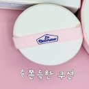 닥터페이퍼 | 기름종이 필요 없는 선쿠션 등장… 닥터벨머 실사용 후기