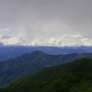 덕산계곡진입로 이미지