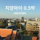 로이니 | 치앙마이 공항 가기 전 0.5박 숙소? 로이 호텔(호스텔) 솔직후기