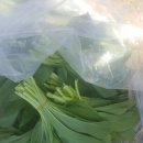 산마늘펜션 이미지