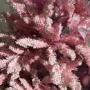 춘천대형약국 | 대형약국 손발저림 셀프 관리 시작! 혈액순환 영양제 챙겨먹는 건강 루틴 (+춘천태평양대형약국 방문 후기)