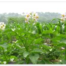 오창농장 이미지