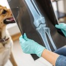 시온동물병원 이미지