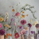 이제 경주 이미지