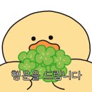 리브베 이미지