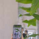 카페도담 - 용인시 수지구 달맞이로 36 | 카페도담