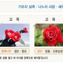 고성초등학교 이미지