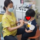 시립초롱꽃어린이집 이미지