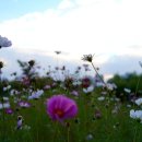 생명공원 이미지