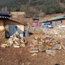 모텔리무진 네이버블로그