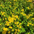 이천생태공원 이미지