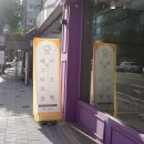 갸또봉선