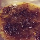 미성화로구이 이미지