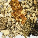 호랑한의원 이미지