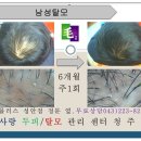 청주탈모관리,청주두피관리 남성탈모(청주탈모관리,청주두피관리,청주남성탈모,청주여성탈모,청주원형탈모) 이미지