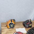 골드 마스터 이미지