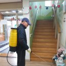 금봉어린이집 이미지