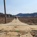 송평마을  구성마을 이미지