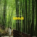 맹종죽테마공원 | 거제도 맹종죽테마파크 공원 대나무숲 갈만한곳