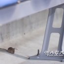 바퀴잡는세븐