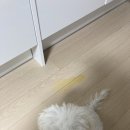와우유흥주점