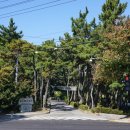 배산해장촌 이미지