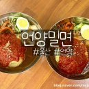 언양밀면 이미지