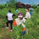 6.15 농장 이미지