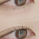 와이오브로우